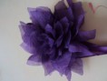 /album/flores/flor-roxa-jpg/